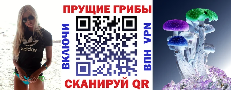 наркотики  ОМГ ОМГ сайт  Псилоцибиновые грибы MAGIC MUSHROOMS  Плавск 